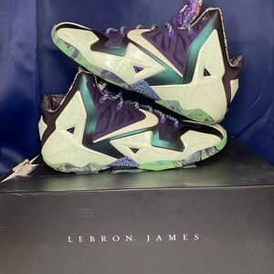 Nike LeBron 11 “ NOLA Gumbo league”